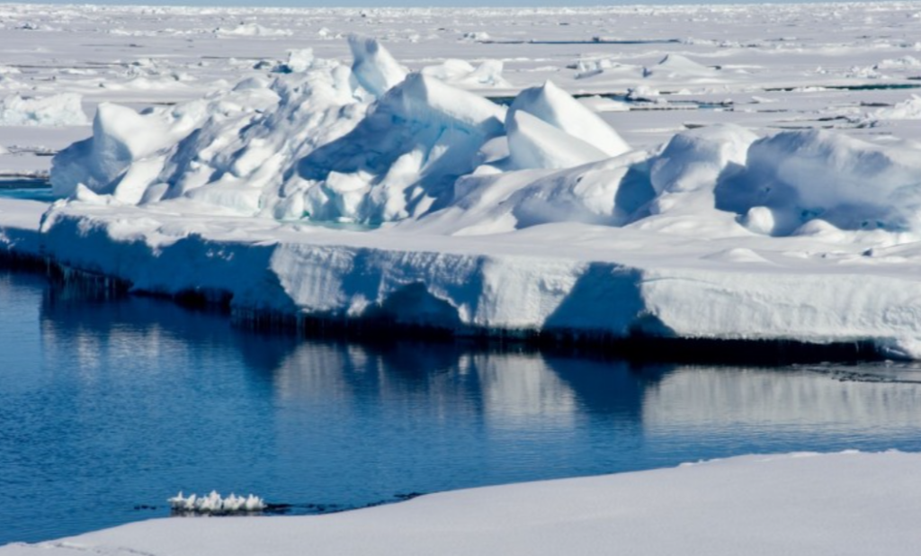 북극의 숨겨진 보물 탐험: 멋진 크루즈 여행의 모든 것